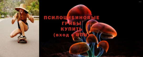 гидра Баксан
